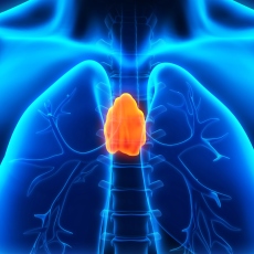 胸腺癌 （Thymus Cancer）